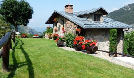 Как сажать газон правильно своими руками