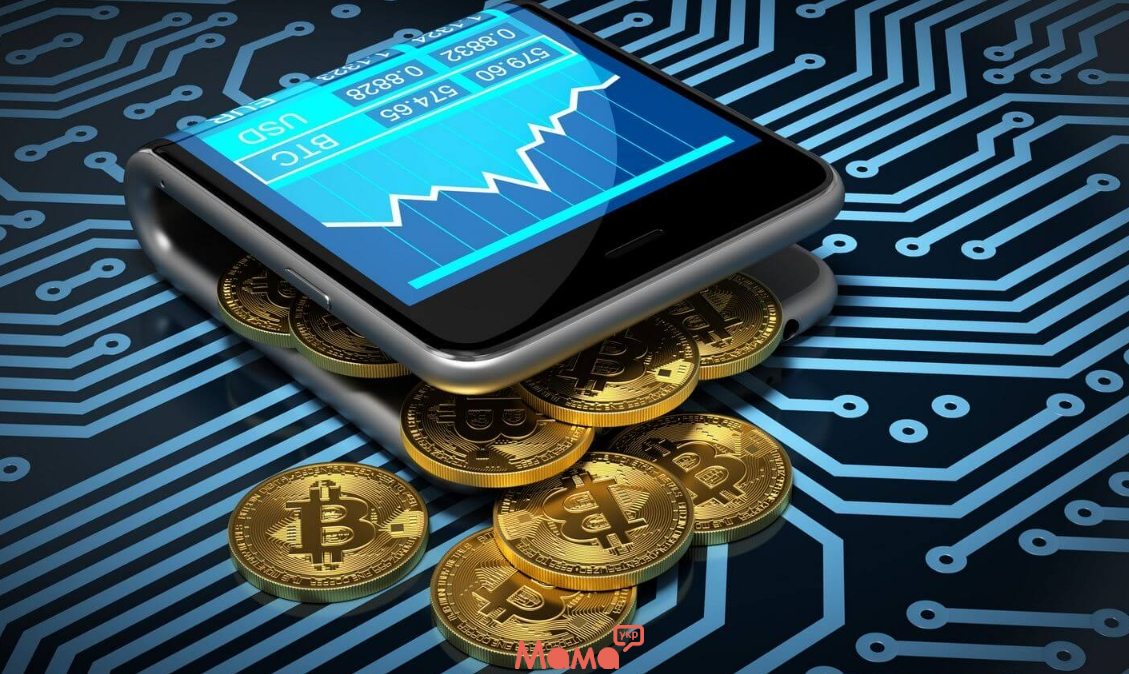 Розбір гаманців для криптовалюти: що входить у гарячі та холодні типи сховищ?