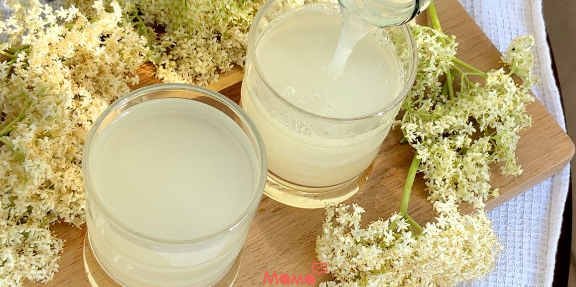 Домашній квас з бузини