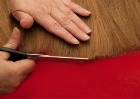 Секущиеся волосы: лечить нельзя обрезать  