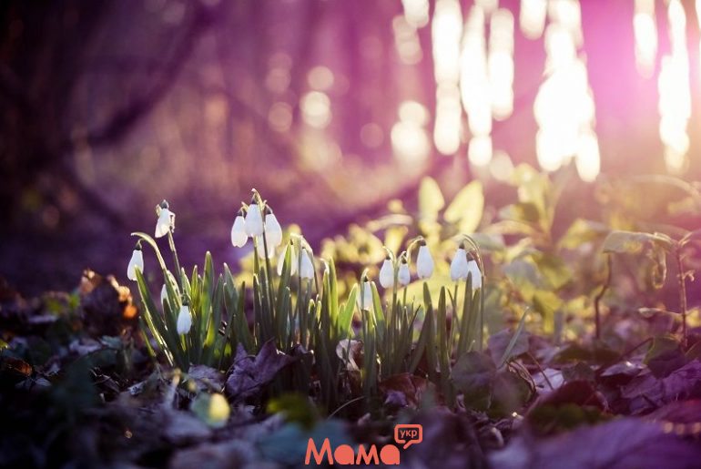 Прикмети і ознаки весни по місяцях