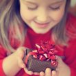 Что подарить ребёнку на Новый год: 15+ идей подарка на 2019 год Свиньи