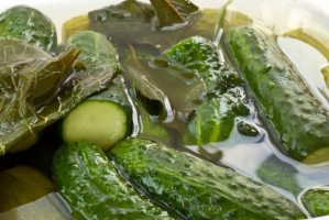Рецепты малосольных огурцов и капусты «Провансаль» 