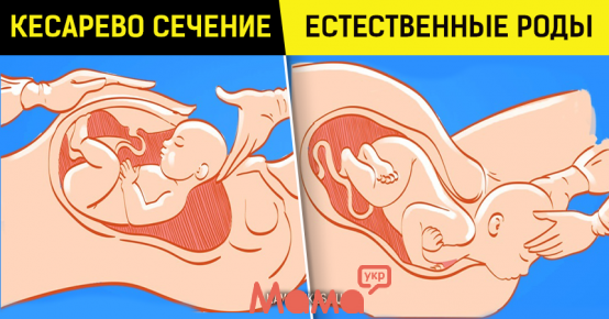 8 якобы фактов о беременности, которые на самом деле оказались неправдой