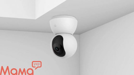 Цифровая камера видеонаблюдения: доступный охранник дачи и дома