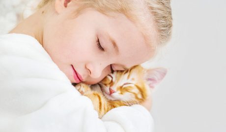 Симптоми алергії на шерсть тварин у дітей: як проявляється