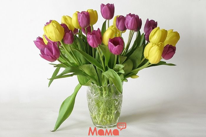   Как сохранить цветы в вазе: любуемся букетом подольше
 