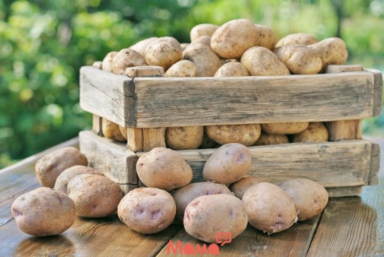   Как правильно хранить картошку в квартире
 