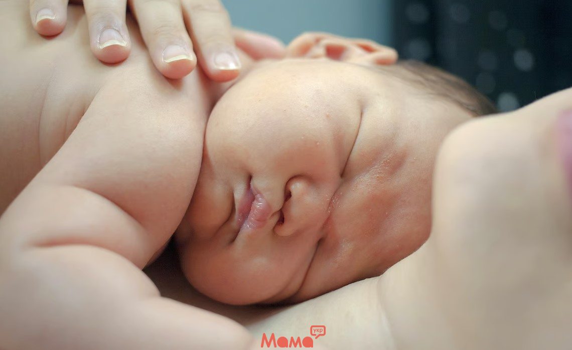 Пологи Київ