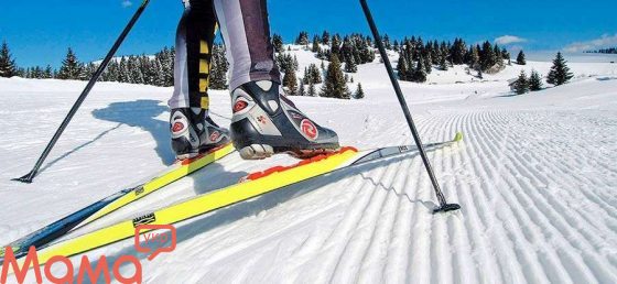 Зимний спорт: выбираем беговые лыжи для всей семьи