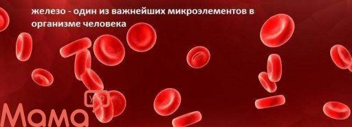 Залізо для організму людини / Залізо в організмі людини