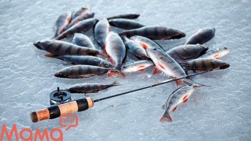 9 советов для желающих попробовать зимнюю рыбалку