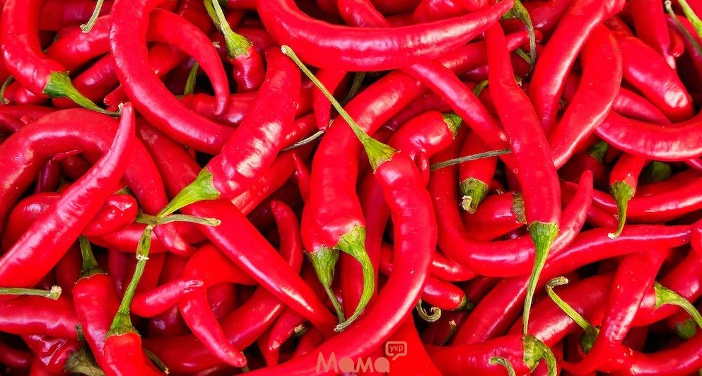 Приправа с характером: польза и вред красного перца